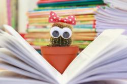 2024最新营养学书籍排行榜：权威推荐帮你轻松选对健康指南