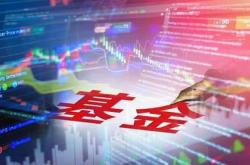 发起式基金十二年蝶变