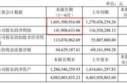仕佳光子：年上半年归属于上市公司股东的净利润约万元