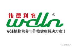 快讯美国小麦协会表示，美国转基因小麦在商业化之前需要包括现场试验在内的其他步骤