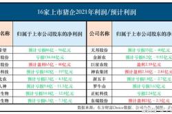 诺亚控股重视股东回报拟回购最多达万美元的美国存托股或普通股