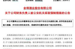 知鱼智联存在体外列支费用问题董事长张玉伟收警示函