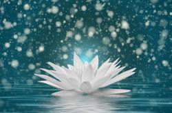 岁月静好的养生之道，中老年人的健康守护指南