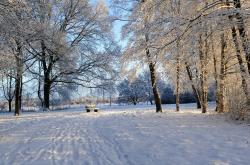 雪域白清寨，冬日里的冰雪奇缘，挑战你的极限滑雪天堂