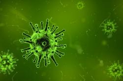 接种新冠疫苗后的饮食调整与禁忌全攻略，科学与健康并行