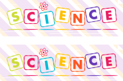 幼小衔接，关键知识与实用策略