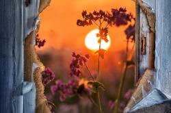 Mastering the Art of Life Wisdom:How to Express Your Life Experiences in English