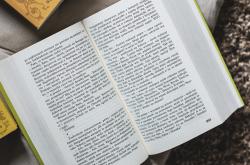 1-6年级文学常识，探索常见的借词及其文化魅力