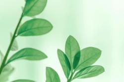 生活经历中的感悟，从日常点滴到心灵成长