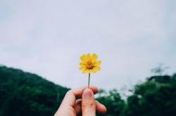 绿色生活，从我做起，低碳生活方式的七项小建议