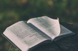 文学常识秒懂百科大全，解锁文学世界的钥匙