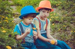 幼儿生活百科小故事大全，开启孩子智慧的钥匙
