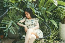 甜蜜的秘密，探索砂糖的幸福生活原名的甜蜜之旅
