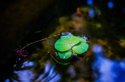谷雨节气的由来和气候特点，一场春末的雨，滋润着大地的诗篇