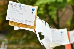 升阳老师最新站桩日记：轻松掌握站桩要领，告别疼痛困扰