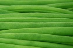 豆角的营养价值大揭秘：低热量高蛋白，促进消化与免疫的健康选择