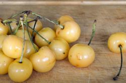 桑葚干泡水喝的功效：抗衰老、护眼、增强免疫力的天然养生秘诀