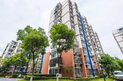 上高县房地产