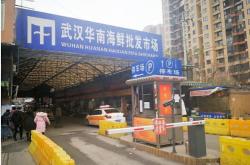 长春市正阳装修市场开门了吗