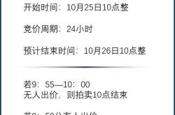 东阳司法拍卖网官网