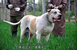 夏津楼盘现房出售