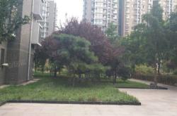 鸿业兴园二期二手房