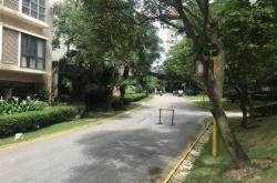 越南中介公司
