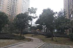 青白江新都房产中介