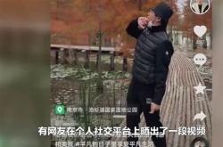 妻子爱上装修工