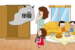 室内除甲醛公司真的有效吗