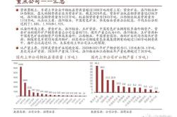 甲玛铜金多金属矿恢复运营对中国黄金国际的影响分析