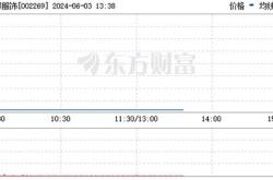 朗源股份年报问询引发市场震荡跌停背后的深层原因与影响分析