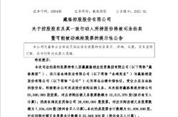 摩登实控人之一致行动人所持公司股份将被司法拍卖