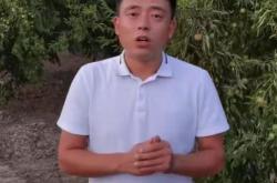 网红神婆郭某被公诉揭秘背后的法律与道德之争