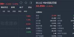 维持瓦可能源买入评级，上调目标价至美元深入分析与未来展望