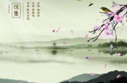 鼠