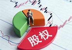 因行使期权发行万股的公司