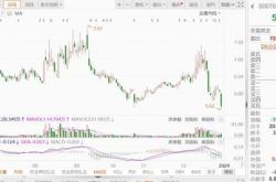 中航沈飞：股东大会决议通过公司符合向特定对象发行股股票条件的议案