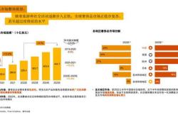 普华永道遭多家上市公司解约市场份额分析