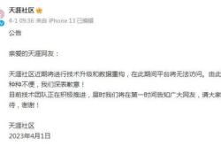 天涯社区关联公司破产风波互联网社区的兴衰与未来展望