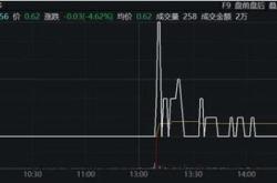 连续跌停潮下的两股命运面值退市的风险与启示