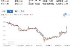 储亿银行维持百通公司“买入”评级，上调目标价至美元深入分析与市场展望

文章