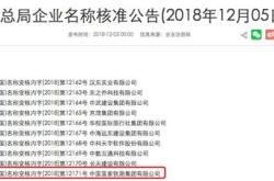 资产优化策略公司出售部分资产以实现价值最大化