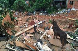 巴西东南部暴雨已造成人死亡人失踪