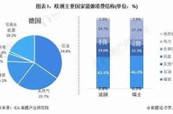 欧洲对俄罗斯天然气的依赖