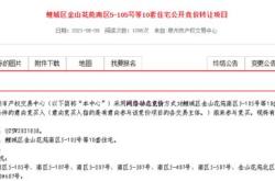 保隆科技可转债项目提交注册前次募资收购标的业绩远逊预期
