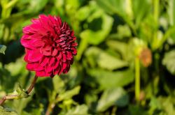 中产年花50万一对一，值得吗？
