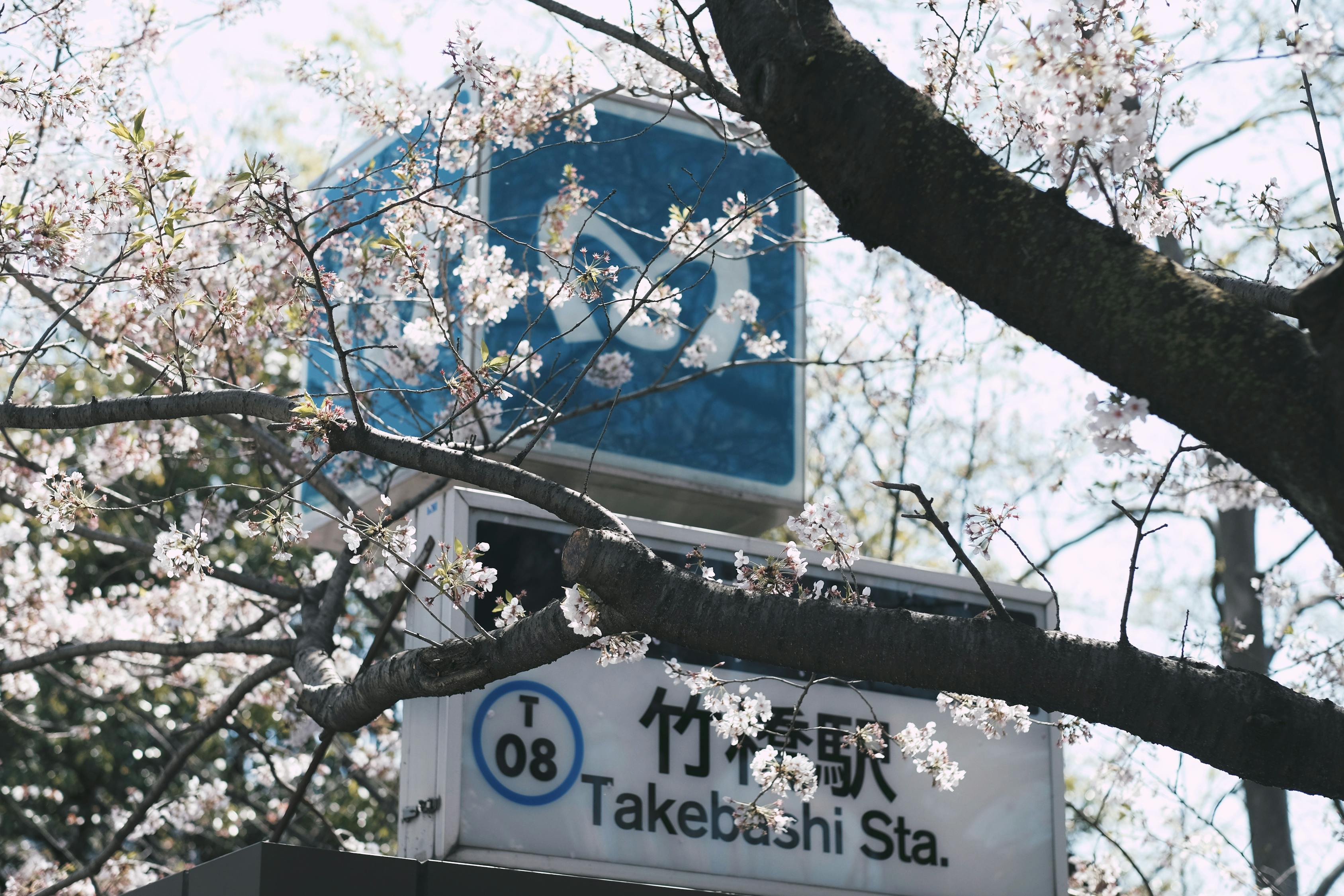 通报轿车撞树后自燃