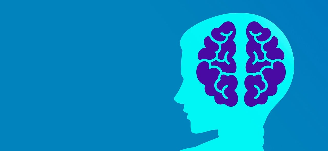 揭秘QQ吉凶测试，科学与迷信的交织，你的网络命运大解析
