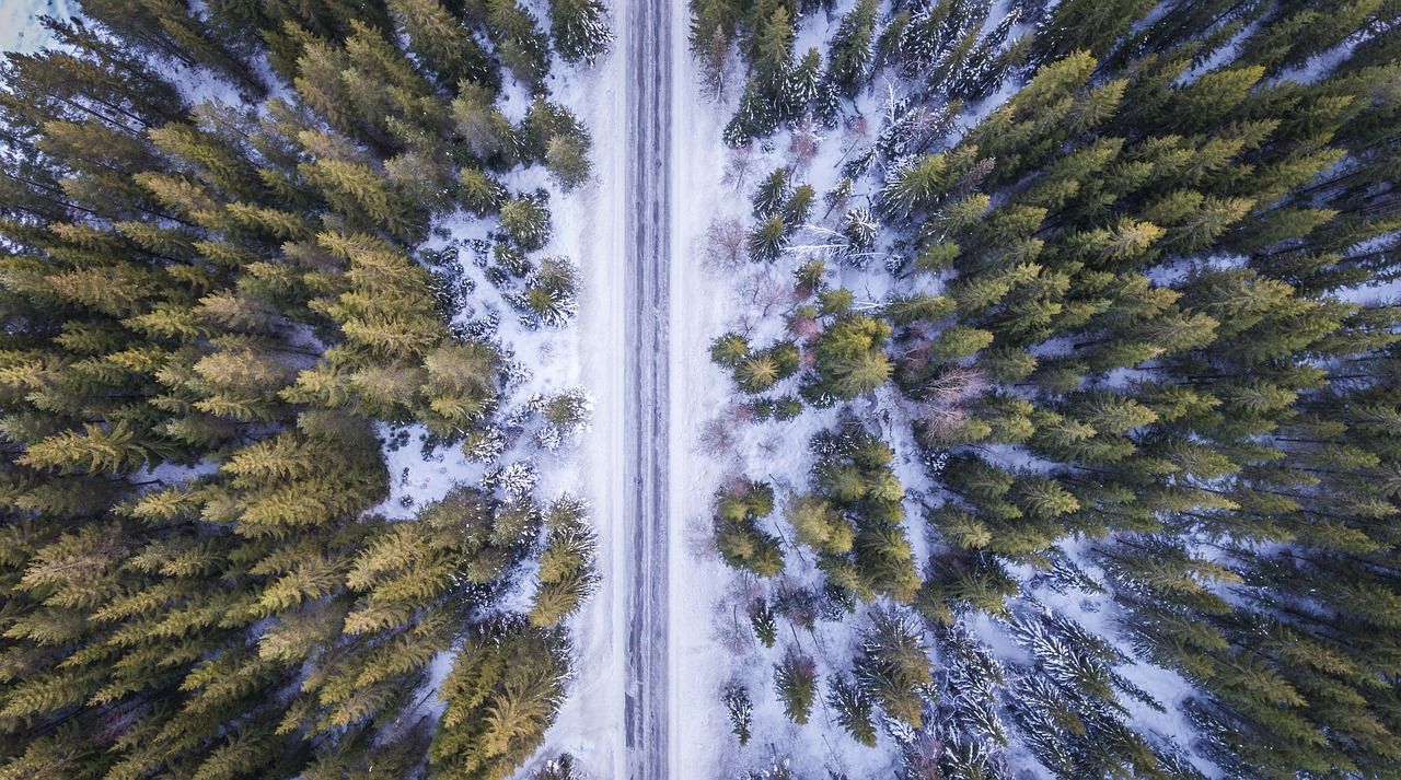 冰雪奇缘·黑龙江冬韵，一场席卷北境的白色盛宴